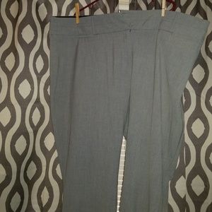 Maurices pants